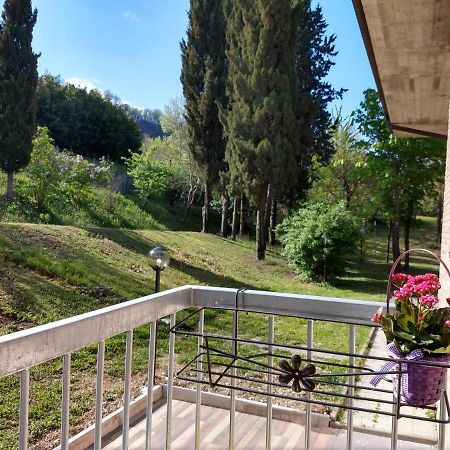 B&B Il Torchio-Urbino Eksteriør bilde