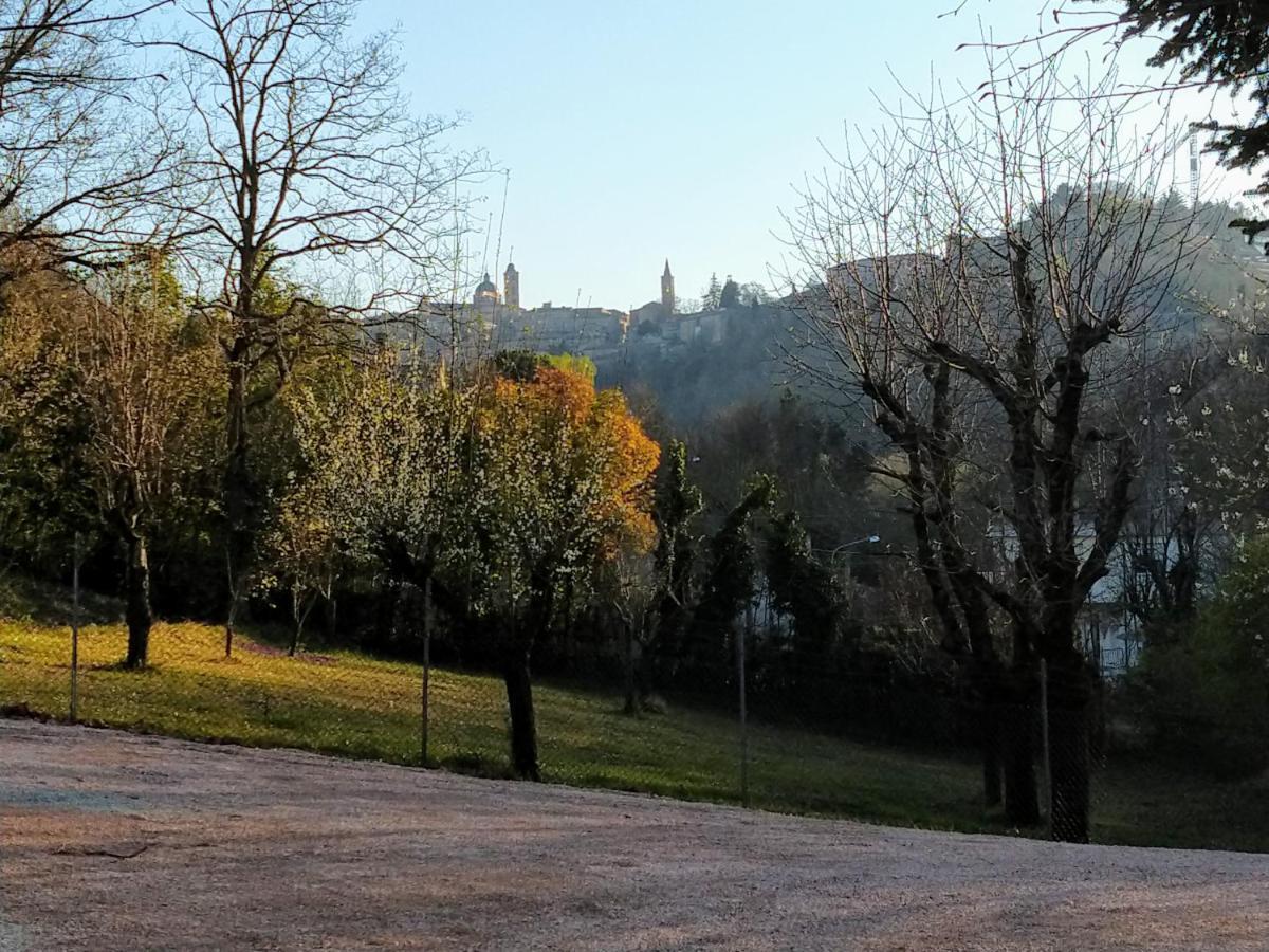 B&B Il Torchio-Urbino Eksteriør bilde